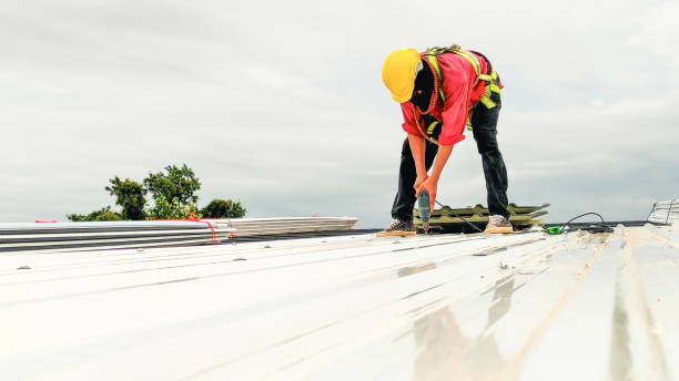 Best Roof Maintenance and Cleaning  in Squirrel Mountain Valley, CA